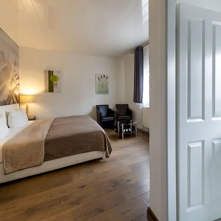 Hotel Alte Direktionsvilla Kupfermuehle