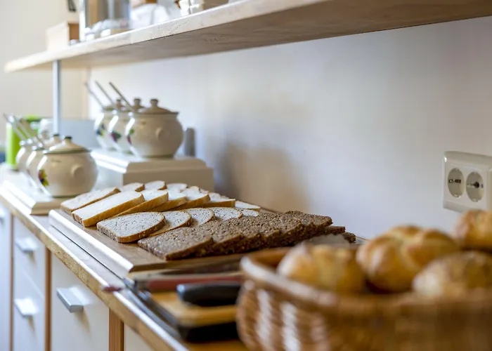 Direktionsvilla 1880 호텔 하리슬리